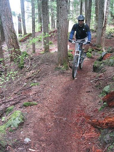 A person riding a mountain bike on a narrow dirt trail surrounded by tall trees in a forest. Mckenzie River Trail mountain bike trail.
