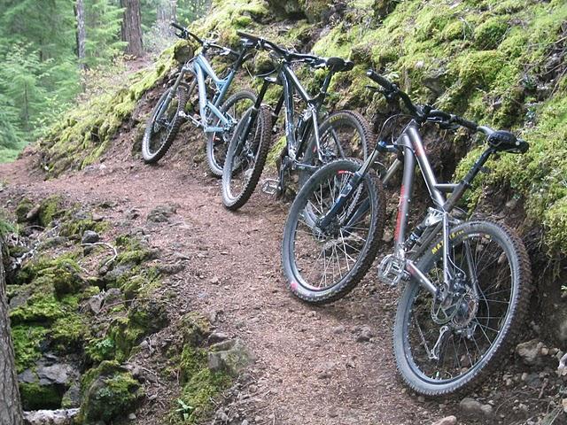 Four mountain bikes are parked along a dirt trail surrounded by lush green moss and trees. The bikes are positioned on the left side of the path, showcasing a variety of colors and designs. The scene captures a peaceful moment in nature, emphasizing the outdoors and recreational cycling. Mckenzie River Trail mountain bike trail.