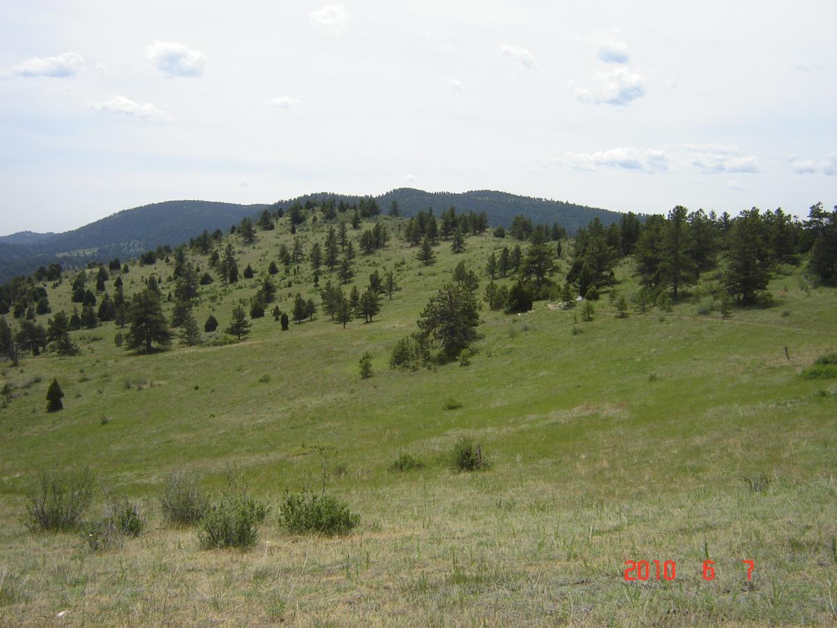 A scenic view of rolling hills covered in greenery and scattered trees under a partly cloudy sky. The landscape features a mix of grassland and coniferous trees with distant mountains in the background. The image captures a tranquil natural setting. Centennial Cone Park mountain bike trail.