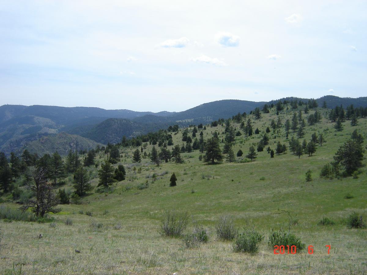 A scenic view of a grassy hillside with scattered trees, surrounded by rolling hills and mountains under a partly cloudy sky. The landscape is green and lush, indicating a natural environment. The date is stamped in the corner: June 7, 2010. Centennial Cone Park mountain bike trail.