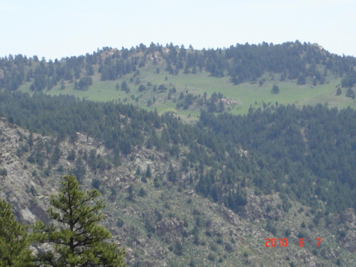 A panoramic view of a mountainous landscape featuring rolling hills covered in green grass and scattered pine trees. The foreground shows rocky terrain, while the background displays higher elevations with dense vegetation. The sky is clear, indicating a sunny day. Centennial Cone Park mountain bike trail.
