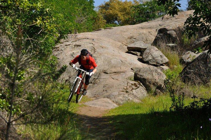 A mountain biker wearing a red shirt and black helmet navigates a rocky trail surrounded by greenery. The rider leans forward as they approach a large boulder on the path.  Granite Bay Trail mountain bike trail.