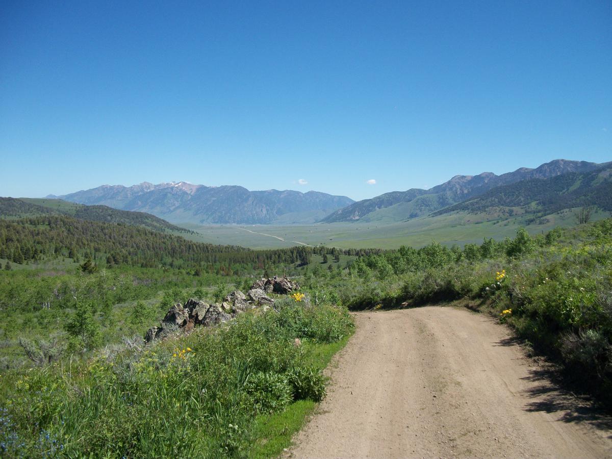 A dirt road winding through lush green fields, leading towards a valley surrounded by distant mountains under a clear blue sky. Wildflowers bloom alongside the road, adding splashes of color to the vibrant landscape. Divide Road mountain bike trail.