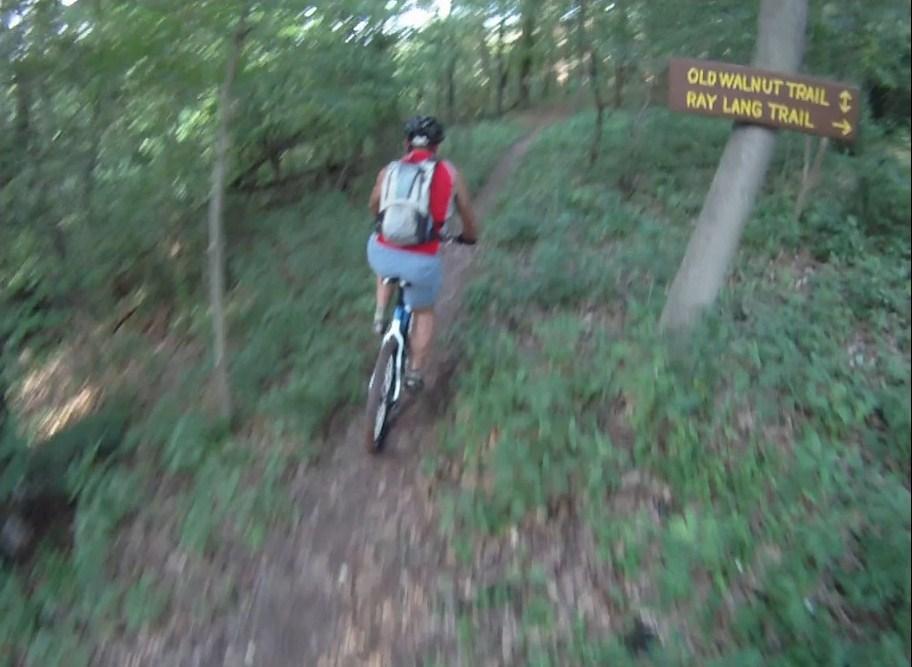 A person riding a mountain bike on a narrow trail through a forest, with a signpost indicating directions to the Old Walnut Trail and Ray Lang Trail. The scene is lush with greenery and sunlight filtering through the trees. City Trails - Marietta Middle School mountain bike trail.