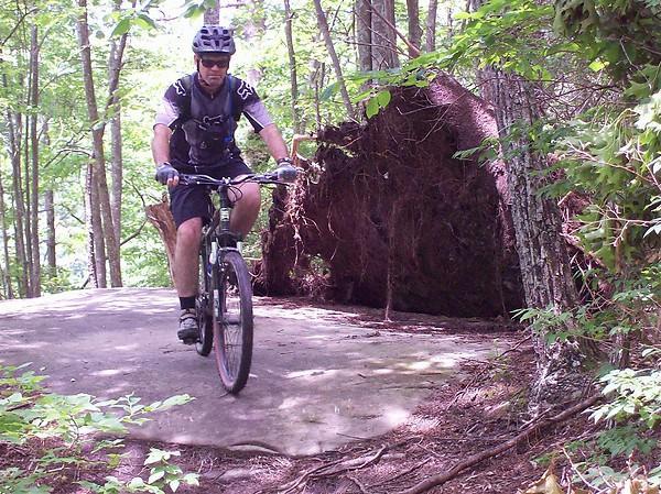 A mountain biker rides along a green, wooded trail with sunlight filtering through the trees. In the background, a large uprooted tree lies beside the path, creating an interesting contrast in the natural landscape. Raccoon Mountain Trail Network mountain bike trail.