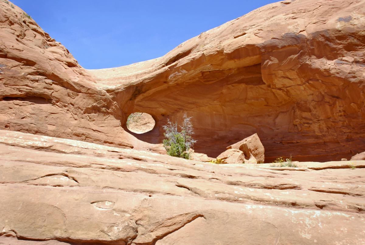 A natural rock formation in the desert, featuring a prominent circular hole and layered red sandstone surfaces under a bright blue sky. Small vegetation and wildflowers are visible among the rocks. Amasa Back Trail mountain bike trail.