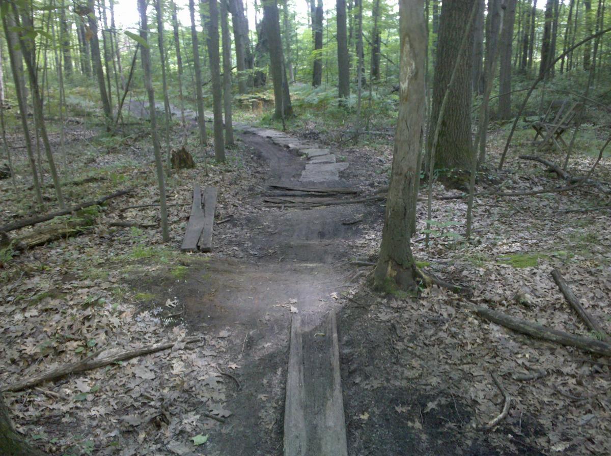 A dirt path winding through a lush green forest, lined with trees and scattered leaves. Wooden planks are used to create portions of the walkway, while natural elements like fallen branches and shrubs are visible along the trail. The scene conveys a peaceful and secluded natural environment. Midland City Forest mountain bike trail.