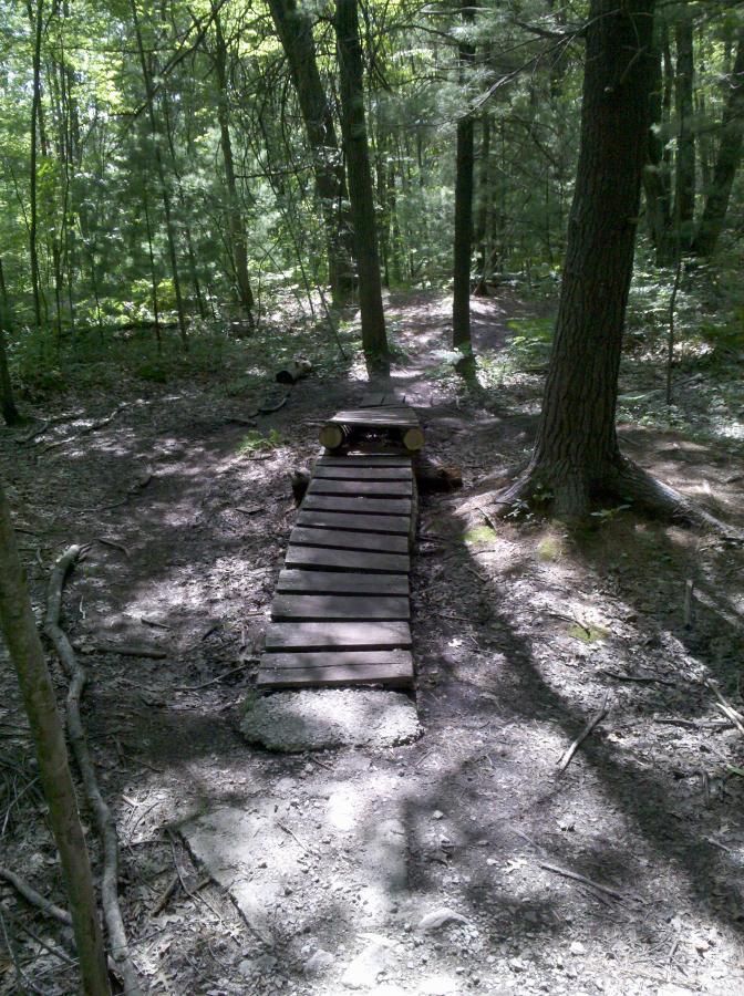 A wooden bridge made from planks and logs, leading through a shaded forest path. Surrounding trees and foliage create a natural, serene atmosphere in a wooded area. Sunlight filters through the leaves, casting dappled shadows on the ground. Midland City Forest mountain bike trail.