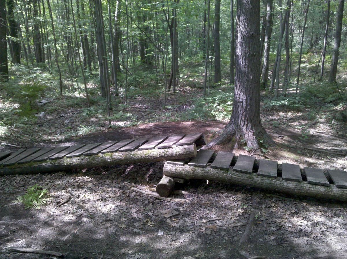 A wooden pathway made of logs and planks traverses a forested area with greenery and tall trees in the background. The path appears partially rustic and leads through soft soil and fallen leaves. Sunlight filters through the trees, casting dappled shadows on the ground. Midland City Forest mountain bike trail.