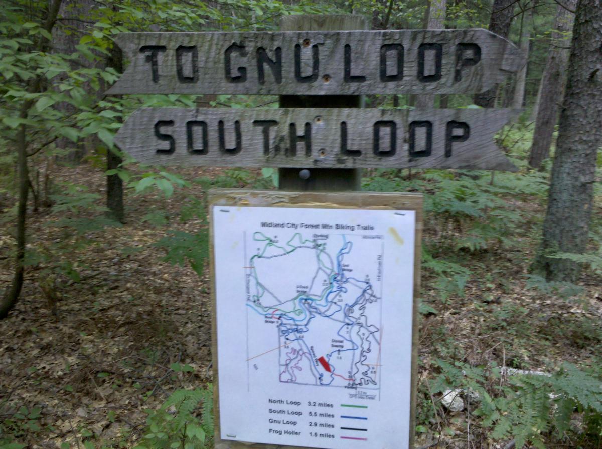 Wooden trail signs indicating directions to "Gnu Loop" and "South Loop," with a map of the Midland City Forest biking trails displayed below. The surrounding area features dense green foliage typical of a wooded environment. Midland City Forest mountain bike trail.
