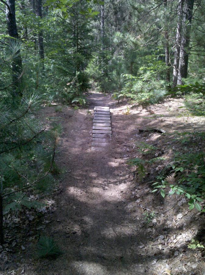 A narrow dirt trail winding through a lush forest, with green foliage on either side and a small wooden bridge crossing a low area. Sunlight filters through the trees, creating dappled shadows on the path. Midland City Forest mountain bike trail.