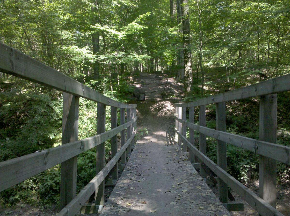 A wooden footbridge leads through a lush green forest, with sunlight filtering through the trees. The path ahead is slightly elevated with rocky terrain visible in the background, surrounded by dense foliage and fallen leaves scattered on the bridge. Midland City Forest mountain bike trail.
