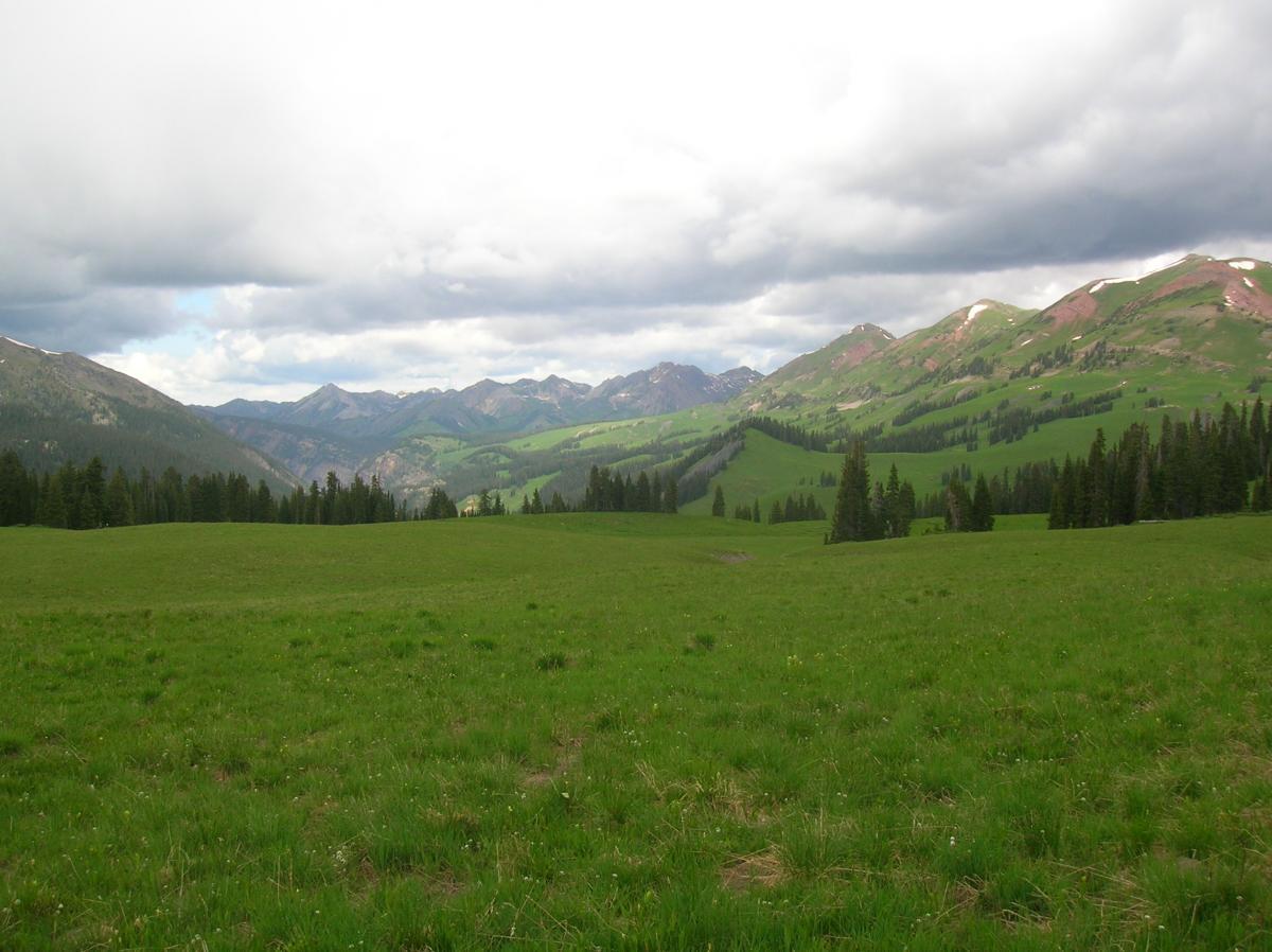 A panoramic view of a lush green meadow surrounded by mountains, under a partly cloudy sky. The landscape features rolling hills with patches of trees, showcasing the natural beauty of the wilderness. Trail 401 mountain bike trail.