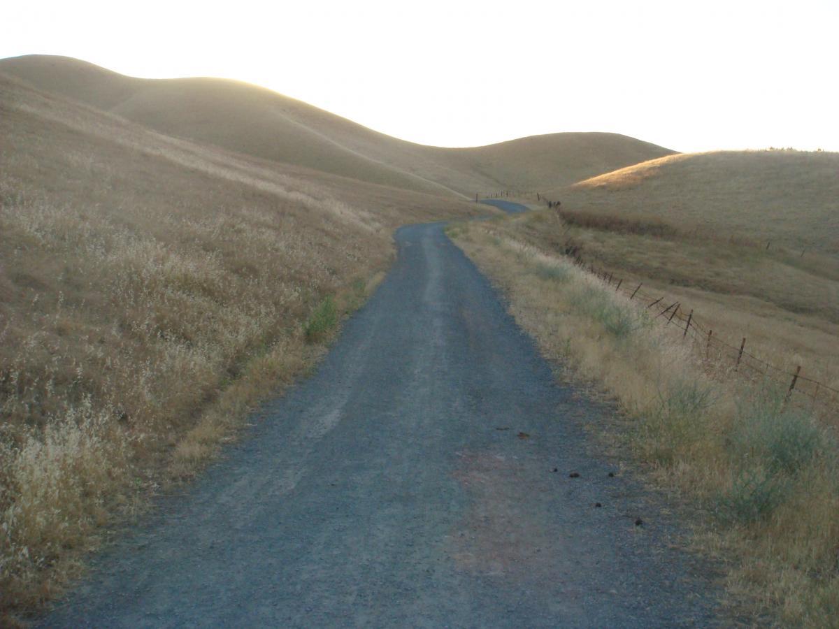 A winding dirt road surrounded by dry grasslands and rolling hills under soft, natural light. Black Diamond Mines mountain bike trail.