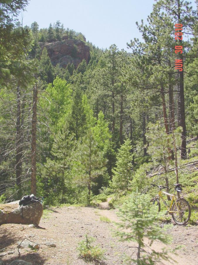 A sunlit forest path winding through tall pine trees, with a yellow bicycle parked beside a rock. The scene features a vibrant landscape of greenery and rugged terrain, set against a backdrop of rocky outcrops under a clear blue sky. Emerald Valley mountain bike trail.