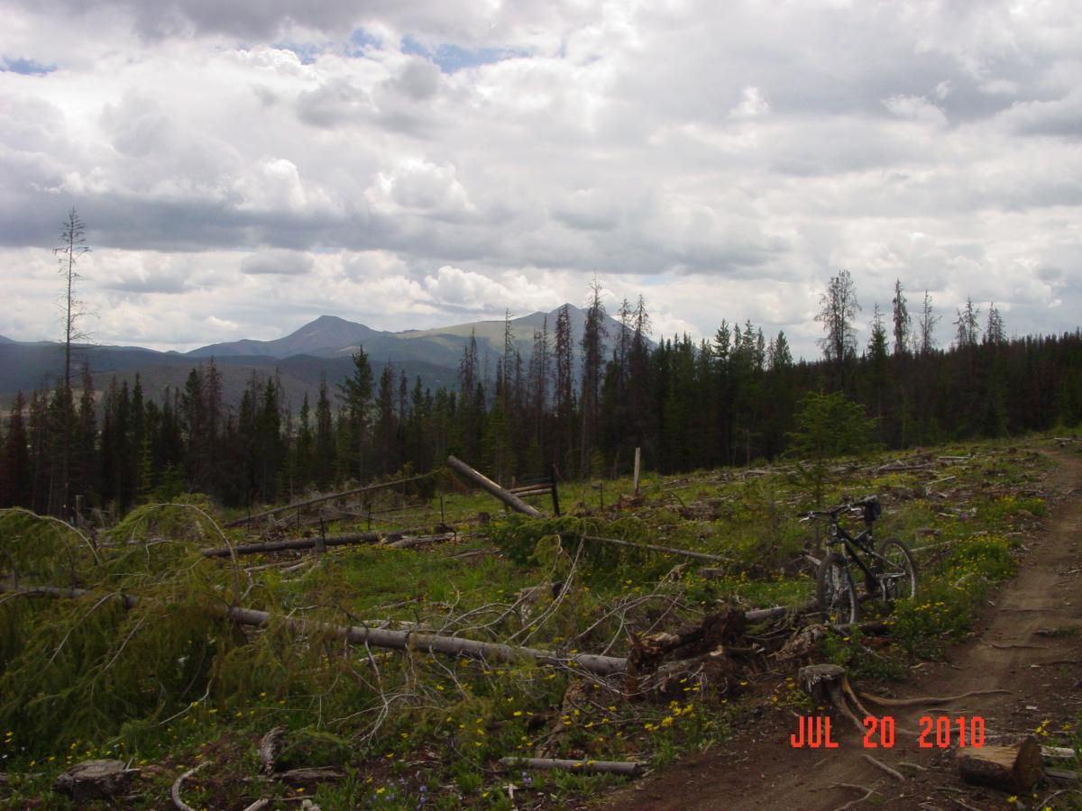 A scenic view of a forested landscape with a mountain range in the background. The foreground features fallen trees and wildflowers, indicating recent logging activity. A bicycle is leaning against a tree on the right side of the image, along a dirt path that winds through the area. The sky is partly cloudy, creating a dramatic atmosphere. Peaks Trail mountain bike trail.