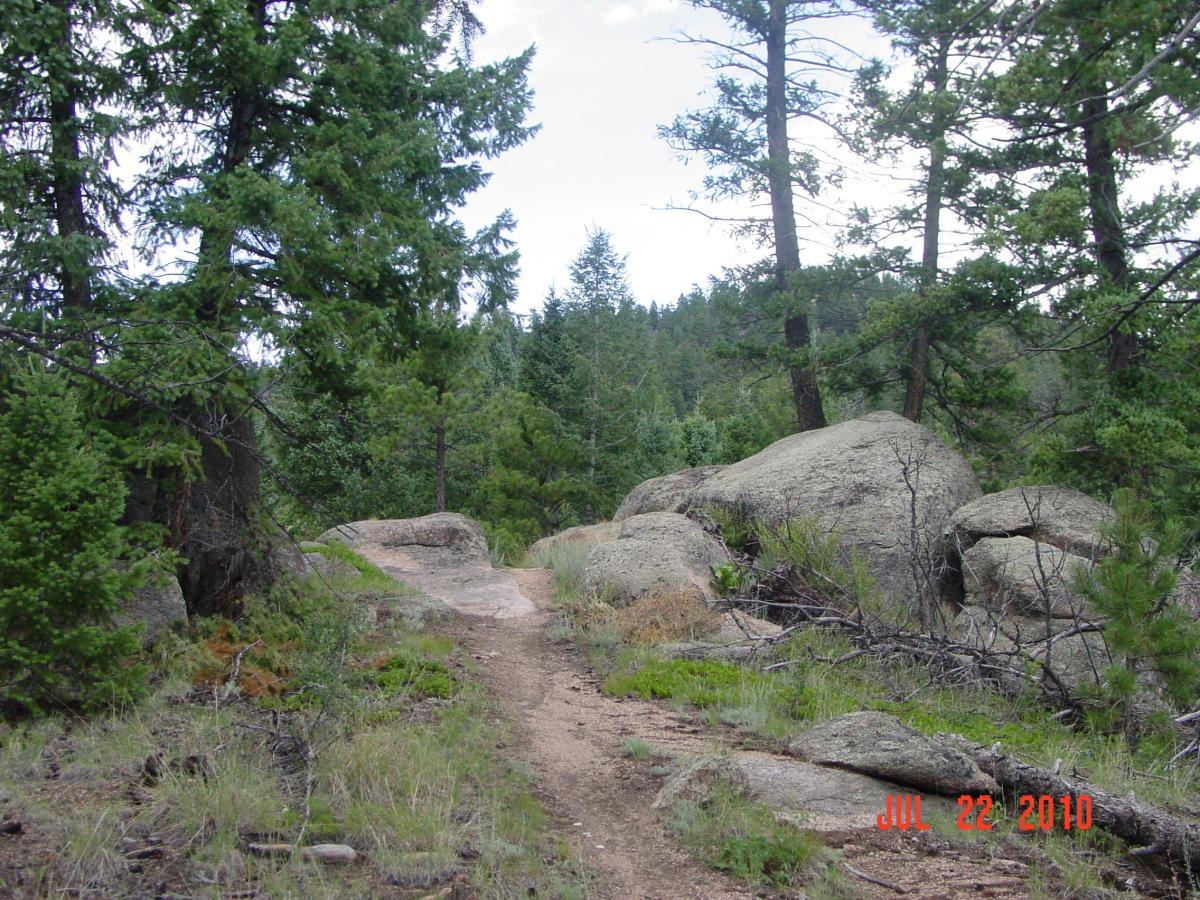 A dirt trail winding through a forested area with tall green trees and large rocks, under a partly cloudy sky. The scene captures the natural beauty of a hiking path surrounded by lush vegetation. Buffalo Creek mountain bike trail.
