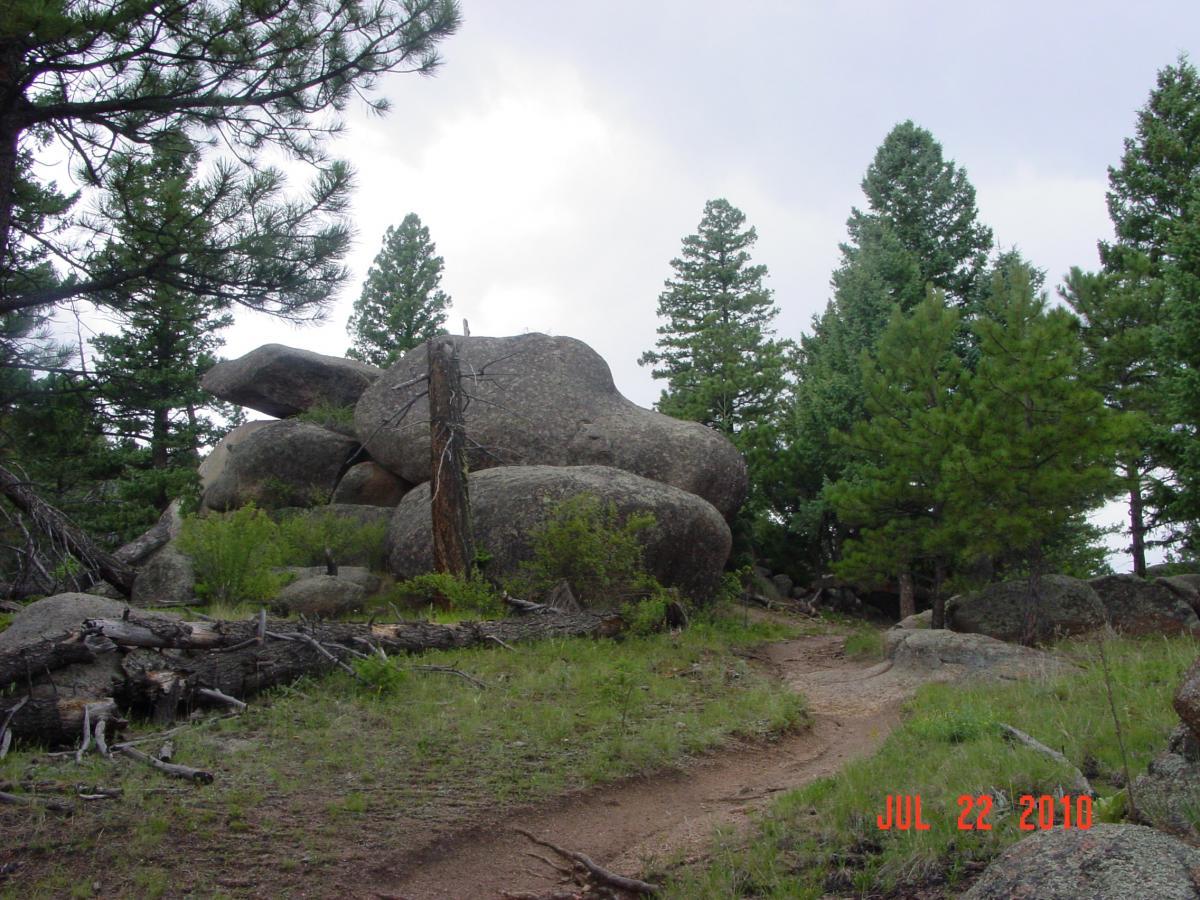 A rocky pathway winds through a scenic woodland area, featuring large boulders and lush green pine trees. The sky is partly cloudy, creating a serene outdoor environment. Buffalo Creek mountain bike trail.