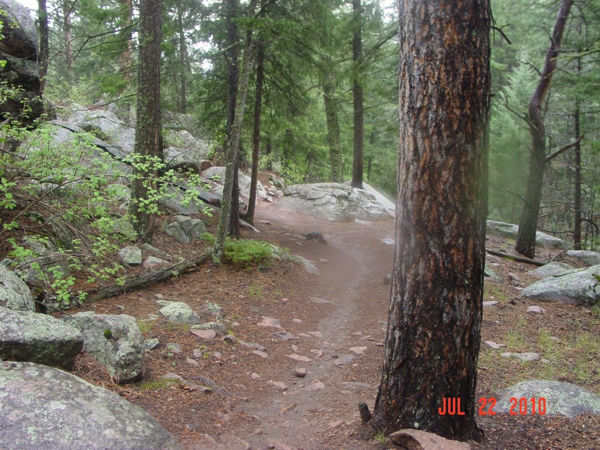 A winding dirt path through a lush forest, surrounded by tall trees and large rocks. The ground is covered with leaves and stones, with patches of greenery on either side. The scene appears tranquil, showcasing the beauty of nature. Buffalo Creek mountain bike trail.