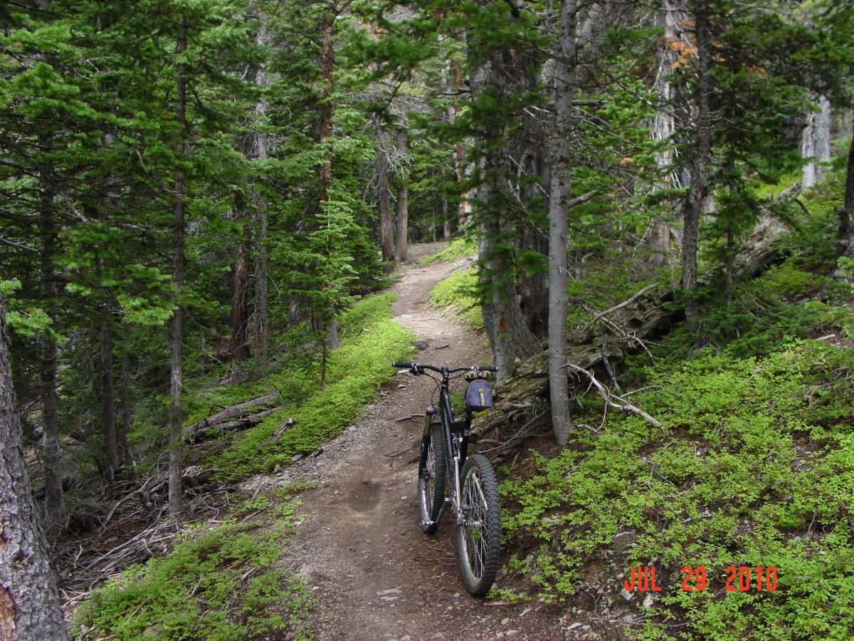 A mountain bike parked alongside a dirt trail surrounded by dense greenery and trees in a forested area. Sourdough Trail mountain bike trail.