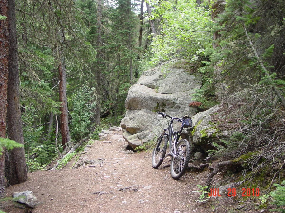A mountain bike is parked on a dirt path surrounded by tall trees and rocky terrain in a forested area. Wild greenery is visible along the trail, suggesting a scenic outdoor setting. Buchanan Pass mountain bike trail.