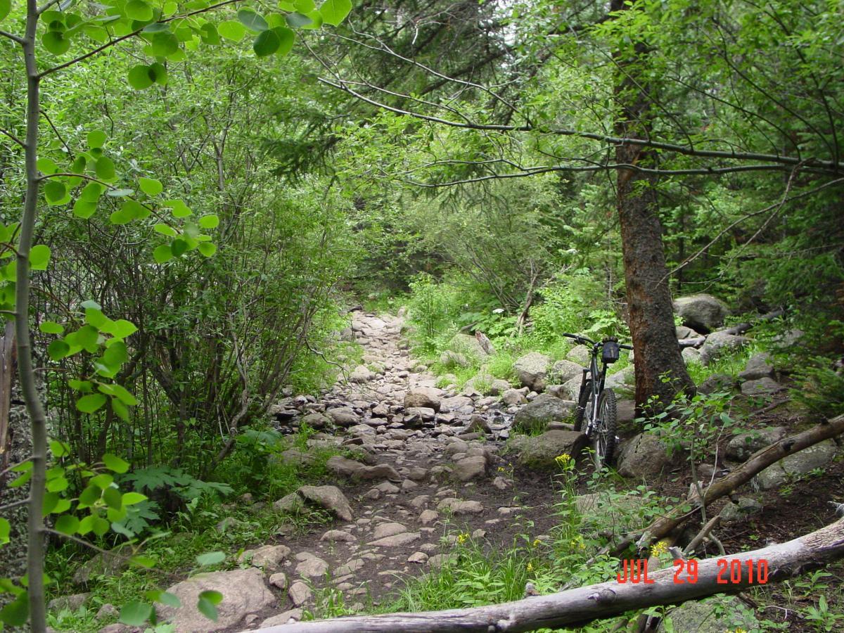 A serene outdoor scene depicting a narrow, rocky trail surrounded by lush green vegetation and trees. A mountain bike is parked beside the trail, partially obscured by foliage. The date "July 29, 2010" is marked in the foreground. Buchanan Pass mountain bike trail.