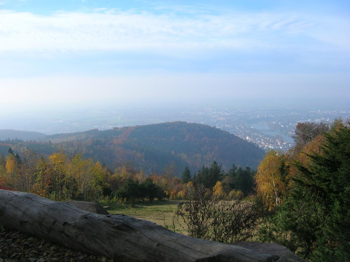 A panoramic view of a valley surrounded by rolling hills and forests during autumn. The foreground features a fallen log, while vibrant fall foliage in shades of yellow and orange contrasts with the green trees. The horizon shows a distant city shrouded in a light mist under a blue sky with wispy clouds. Konigstuhl mountain bike trail.