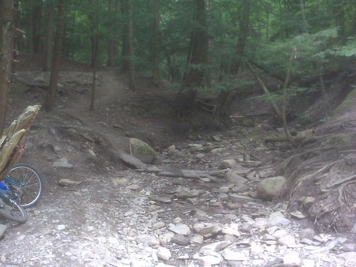 A rocky, wooded area with a dry creek bed, surrounded by trees and underbrush. A blue bicycle is partially visible on the left, resting against a log. The scene captures a serene and natural environment, suggesting a hiking or biking trail. Hunters Creek Park mountain bike trail.