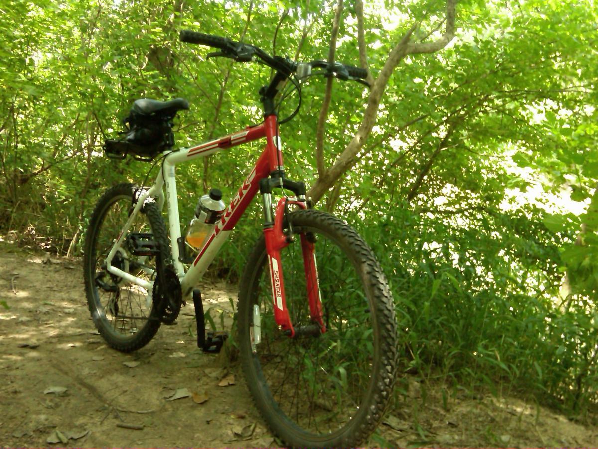 A mountain bike parked on a dirt trail surrounded by lush green foliage. The bike has a red and white frame, a water bottle attached, and a small black bag on the seat. Sunlight filters through the trees in the background. River Legacy mountain bike trail.