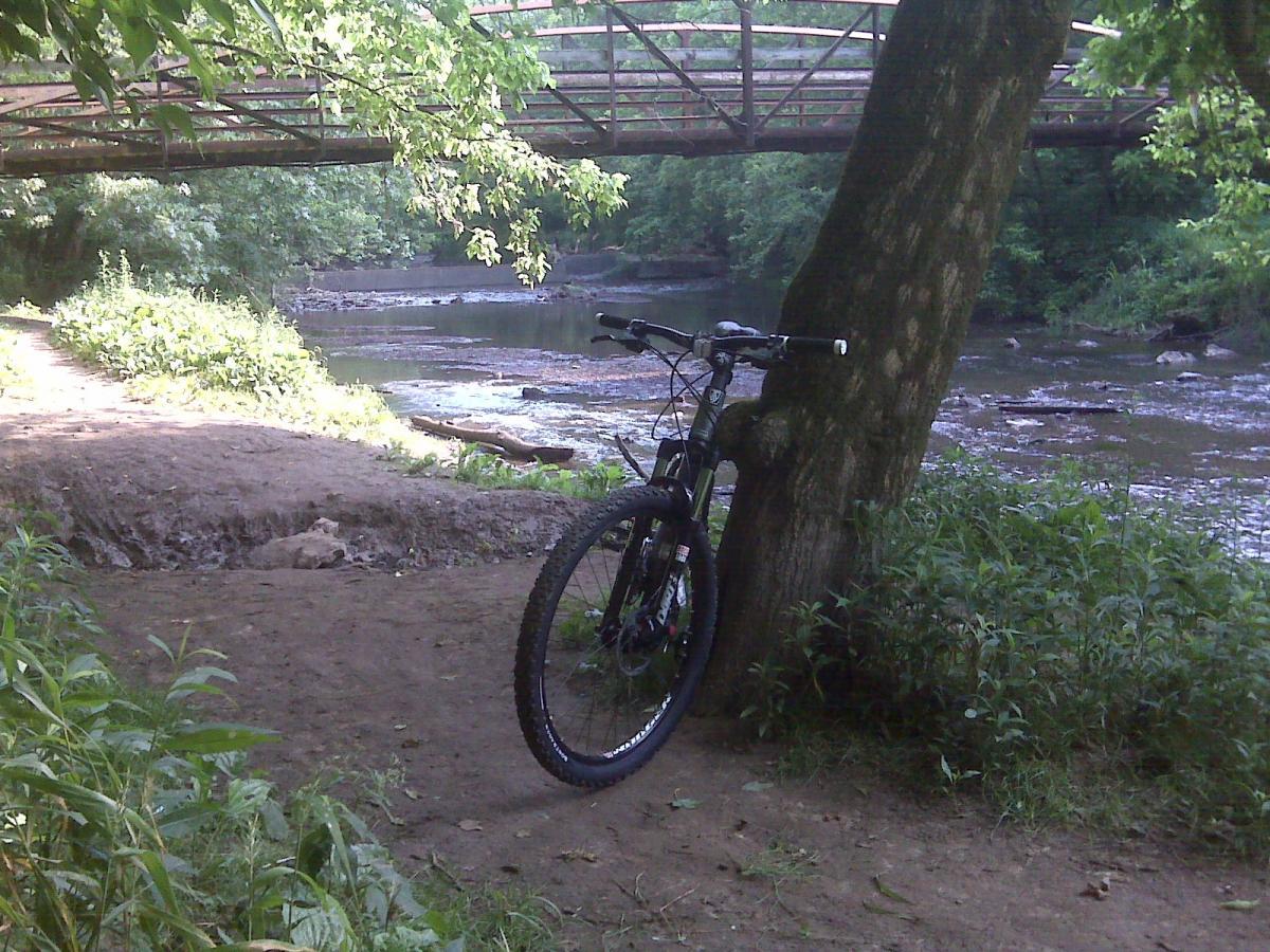 A mountain bike leaning against a tree near a riverbank, with a bridge visible in the background. The setting is lush with greenery, and the water reflects the surrounding nature. Veterans Park mountain bike trail.