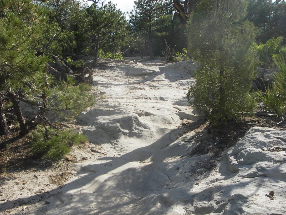 A rocky trail winding through a forest, featuring patches of white sand and scattered greenery, including small trees and shrubs. Sunlight filters through the trees, creating dappled shadows on the ground. Ute Valley Park mountain bike trail.