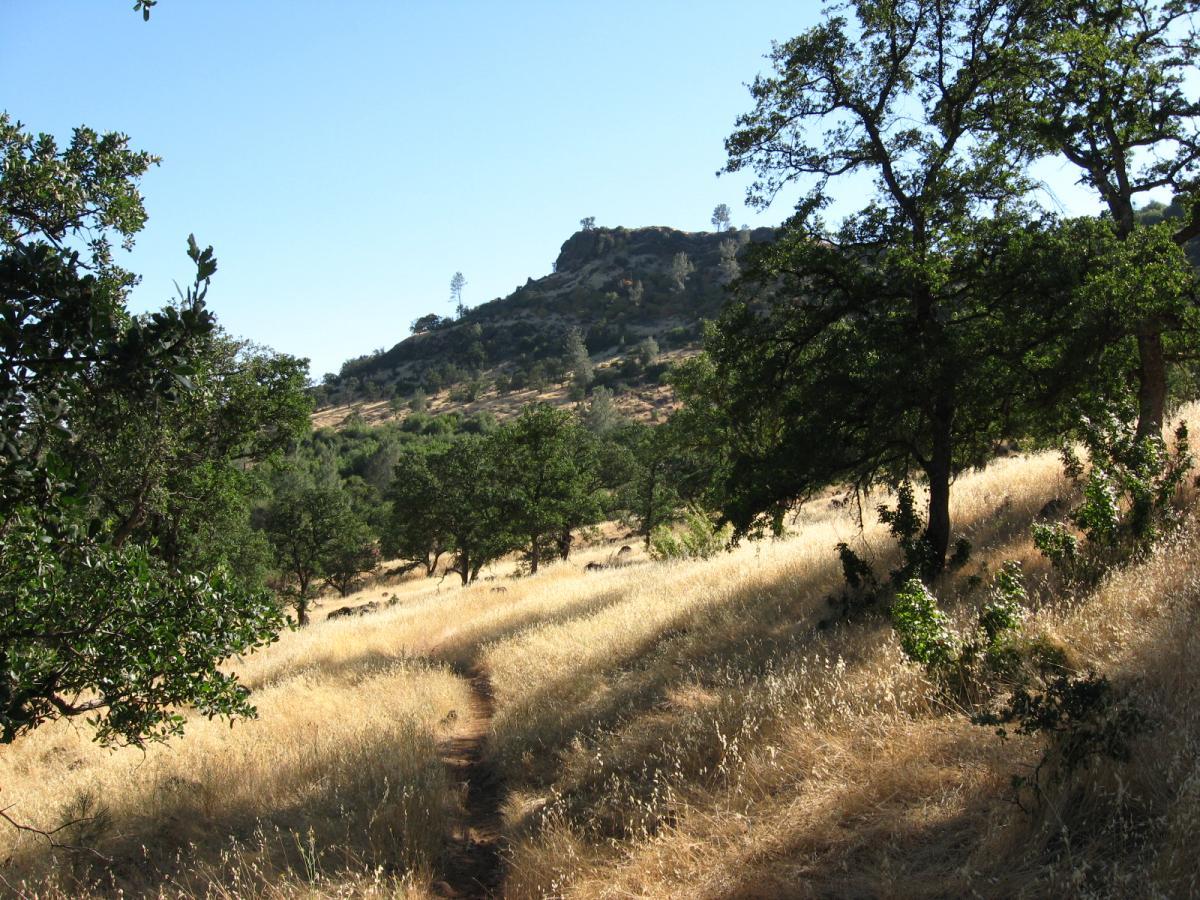 A scenic landscape featuring a dirt path winding through a golden grassy field, bordered by green trees. In the background, a rocky hill rises under a clear blue sky, showcasing the beauty of nature. Upper Bidwell Park mountain bike trail.