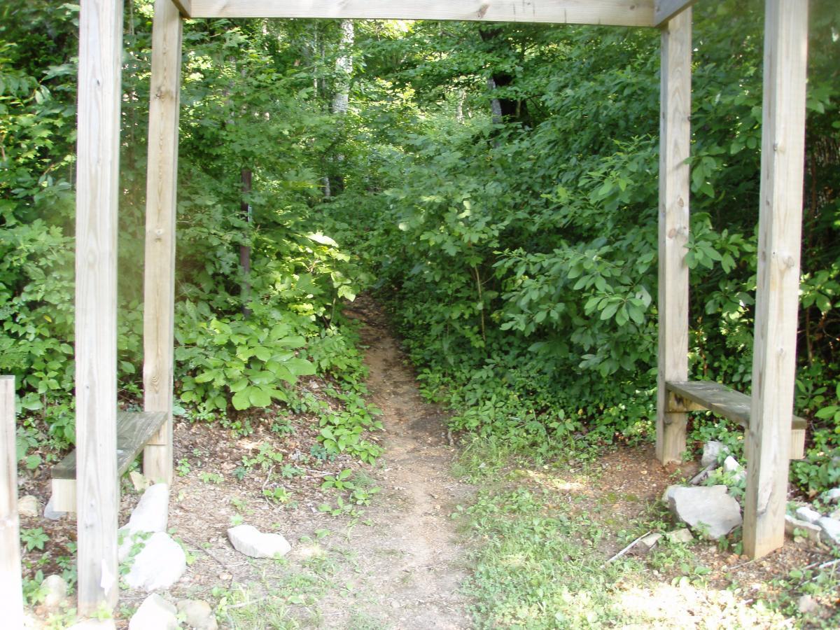 A narrow dirt path leading into a lush green forest, framed by a wooden structure with benches on either side. The path is surrounded by dense foliage and small rocks, inviting exploration into the wooded area. Rotary Park mountain bike trail.