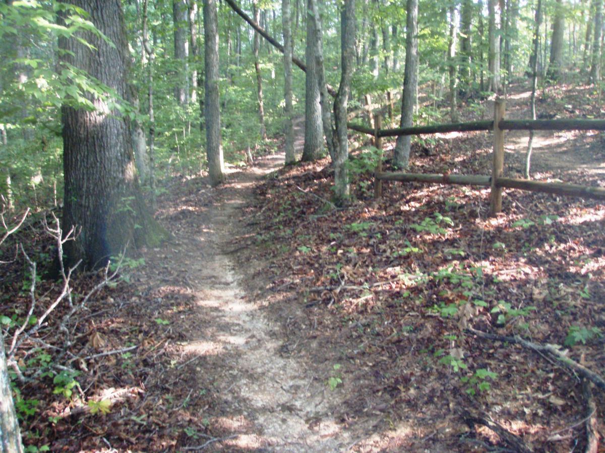 A narrow dirt trail winding through a lush green forest, flanked by tall trees and a wooden fence. The ground is covered with fallen leaves and small plants, creating a serene and natural atmosphere. Sunlight filters through the tree canopy, illuminating parts of the path. Rotary Park mountain bike trail.