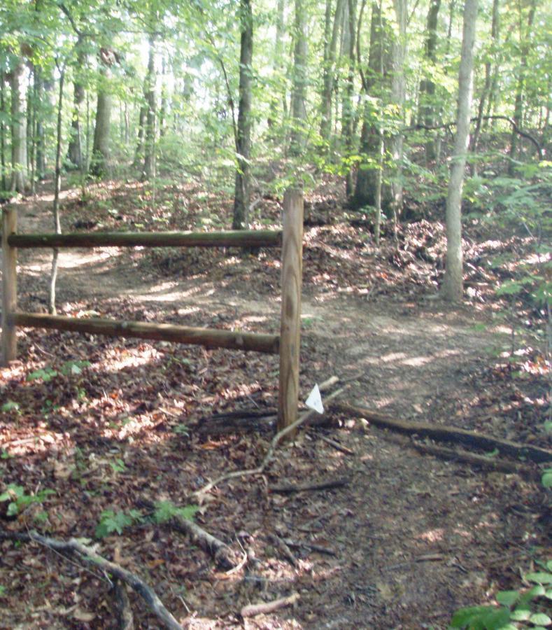 A wooded area with a dirt path diverging at a wooden fence. The ground is covered in leaves and small branches, with trees and lush greenery in the background. Rotary Park mountain bike trail.