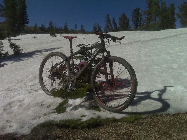 A mountain bike resting on a patch of snow, surrounded by trees under a clear blue sky. The bike is partially covered in dirt, indicating recent use on a rugged terrain. Tahoe Rim Trail mountain bike trail.