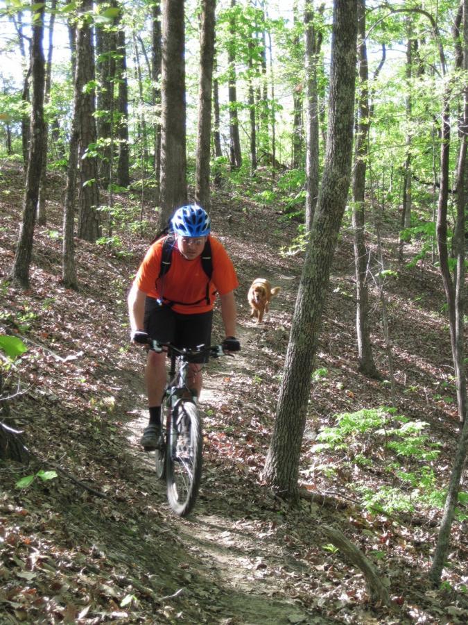 A person wearing an orange shirt and a blue helmet rides a mountain bike along a dirt trail in a wooded area. A dog can be seen following behind on the path, surrounded by green trees and foliage. Sunlight filters through the branches, creating a natural, vibrant atmosphere. Noxubee Crest mountain bike trail.