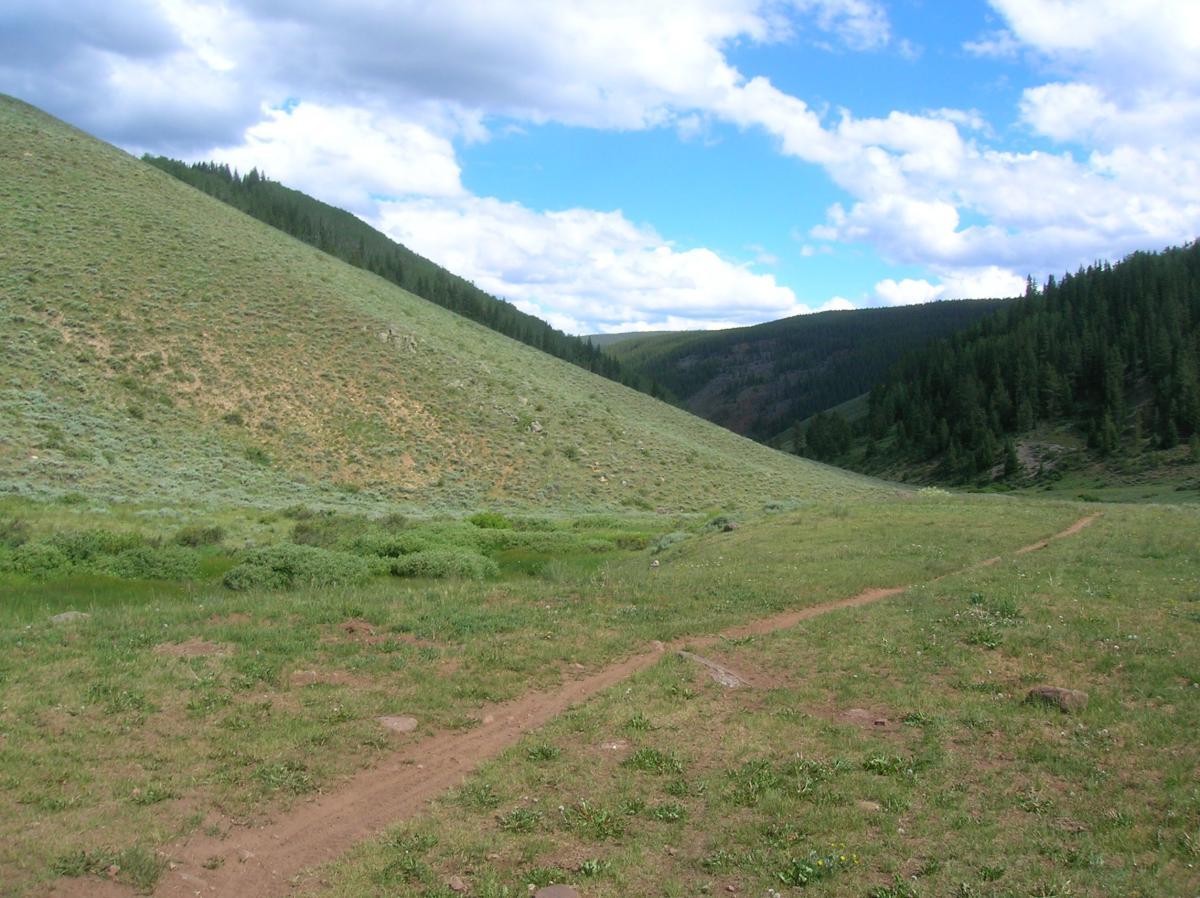 A scenic view of grassy hills and valleys under a partly cloudy sky, with green vegetation and a dirt trail winding through the landscape. Pine trees are visible in the background, creating a serene natural setting. Reno / Flag / Bear / Deadman Loop mountain bike trail.
