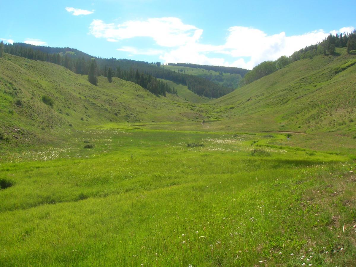 A lush green valley surrounded by rolling hills, dotted with wildflowers, under a blue sky with scattered clouds. The landscape features gentle slopes leading to a flat area filled with vibrant grass, showcasing the beauty of nature and serene outdoor scenery. Reno / Flag / Bear / Deadman Loop mountain bike trail.