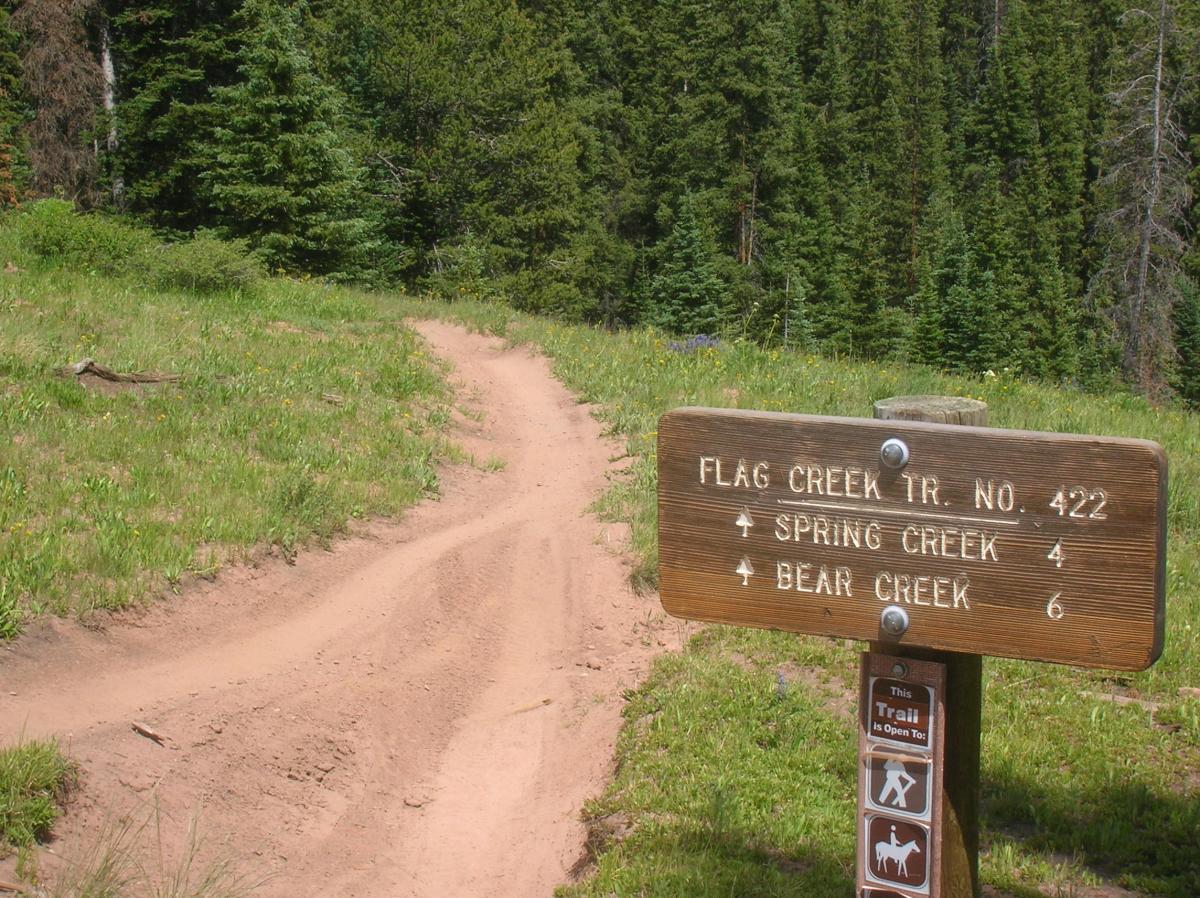A dirt trail surrounded by greenery leads into a forested area, with a wooden signpost displaying directional information for hiking. The sign indicates that Flag Creek Trail No. 422 leads to Spring Creek, 4 miles ahead, and Bear Creek, 6 miles ahead. The trail is marked as open for use. Reno / Flag / Bear / Deadman Loop mountain bike trail.