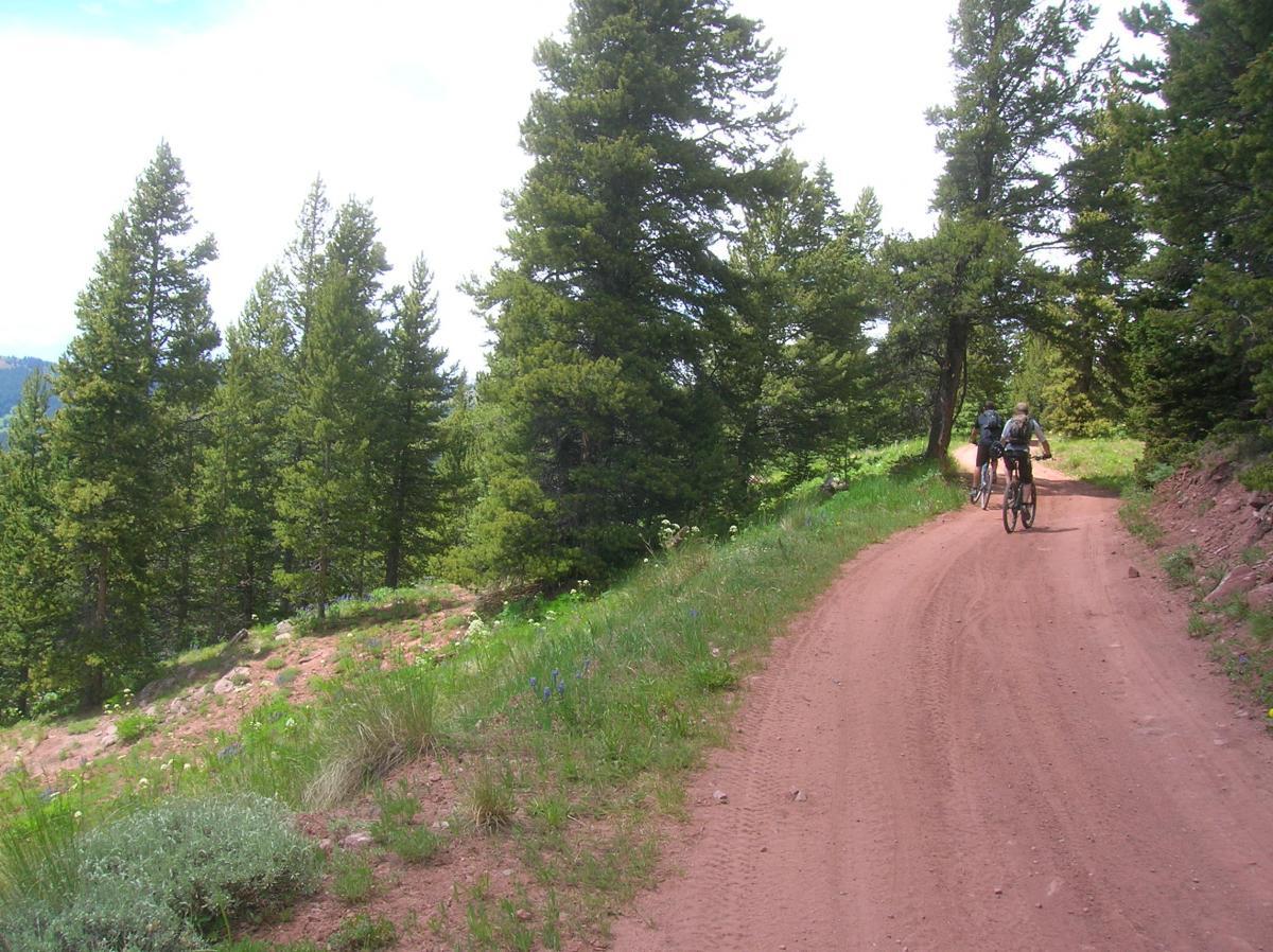 Two mountain bikers riding on a dirt trail surrounded by green pine trees and wildflowers, with a scenic view of hills in the background under a sunny sky. Reno / Flag / Bear / Deadman Loop mountain bike trail.