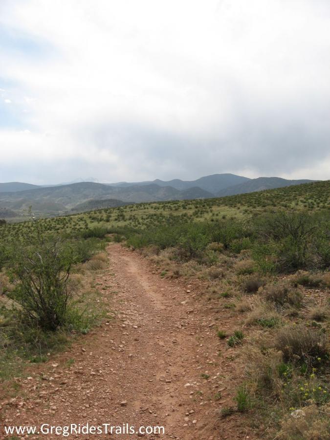 A dirt path winding through a grassy landscape, surrounded by low shrubs and plants, leading toward distant mountains under a cloudy sky. Devil's Backbone mountain bike trail.