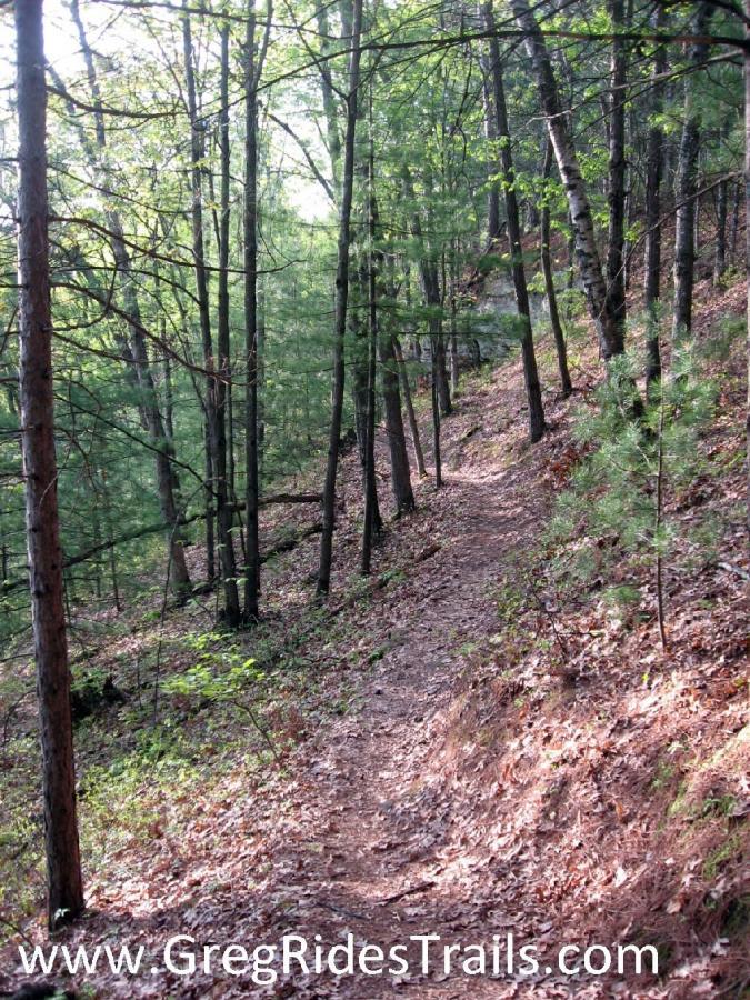 A winding dirt trail through a lush, green forest with tall trees and scattered fallen leaves along the path. The sunlight filters gently through the canopy, illuminating parts of the trail. Levis Mounds mountain bike trail.