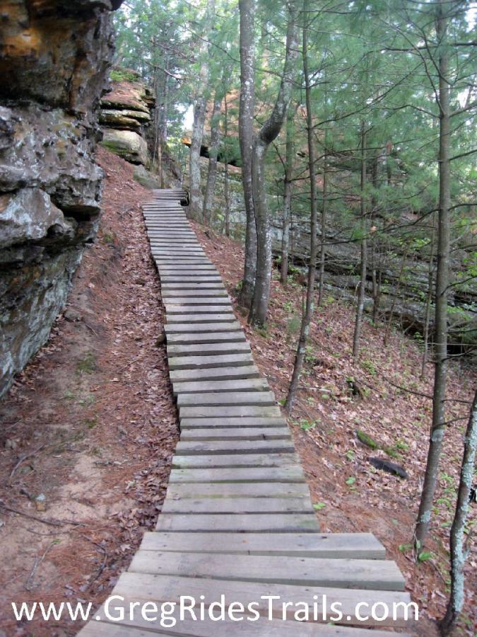 A winding wooden boardwalk pathway through a forested area, surrounded by tall trees and rocky terrain. The path is lined with fallen leaves, leading up a gentle incline. Levis Mounds mountain bike trail.