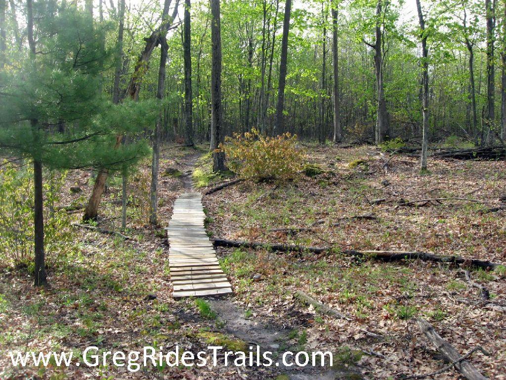 A narrow wooden bridge spans a forest path, surrounded by lush green trees and underbrush. Leaves cover the ground, and the sunlight filters through the canopy, creating a peaceful, natural setting. Levis Mounds mountain bike trail.