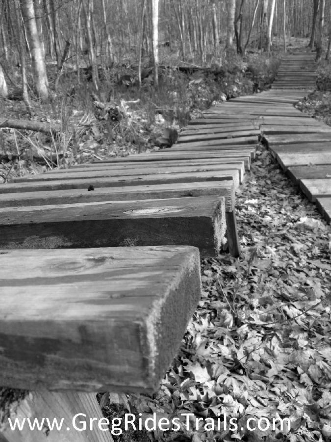 A narrow, wooden boardwalk winding through a forested area covered with fallen leaves. The image is in black and white, highlighting the texture of the wood and the surrounding trees. Levis Mounds mountain bike trail.