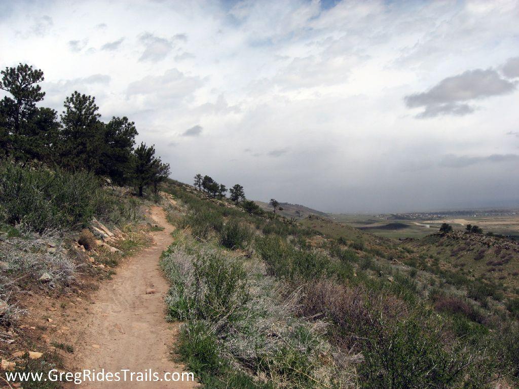 A winding dirt trail leading through a grassy hillside, bordered by scattered trees and shrubs, under a cloudy sky. The landscape descends into valleys in the distance, creating a serene and natural environment. Coyote Ridge mountain bike trail.