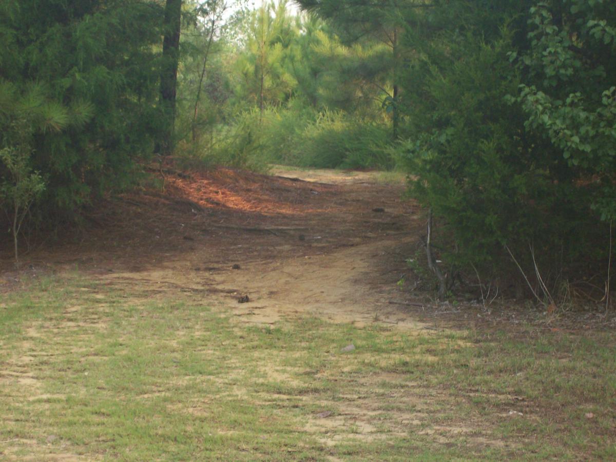A narrow dirt path leading through a wooded area, surrounded by green trees and underbrush. The path is slightly worn and leads into the distance where more foliage is visible. Research and Technology Park (ERC) mountain bike trail.