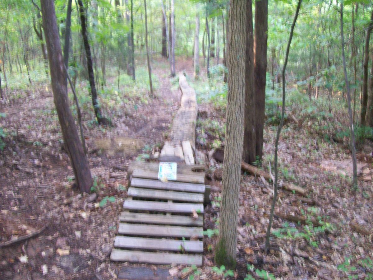 A blurred image of a woodland path, featuring a wooden bridge made from planks and a fallen log. Surrounding the path are tall trees and lush greenery, with leaves scattered on the ground, indicating a natural forest environment. Research and Technology Park (ERC) mountain bike trail.