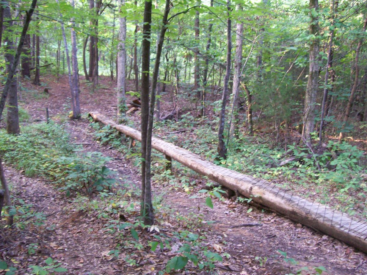 A wooded trail in a forest, featuring a fallen log acting as a bridge. The surroundings are lush with green foliage and trees, showcasing a natural and serene environment. Research and Technology Park (ERC) mountain bike trail.